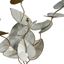 FIGURE DCOR - 448-5320264