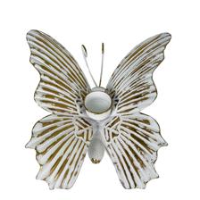 butterfly - 448-5720251