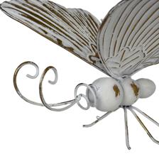 butterfly - 448-5720251