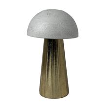mushroom - 448-6320136
