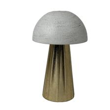 mushroom - 448-6320137