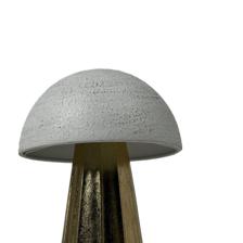 mushroom - 448-6320137