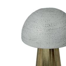 mushroom - 448-6320137