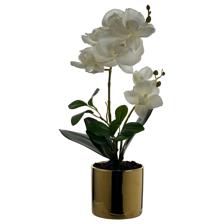 ORQUIDEA C/POTE 12X22X36CM - 449-3710003