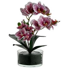 ORQUIDEA C/POTE 12X28X42CM - 449-3710013