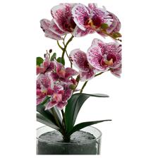 ORQUIDEA C/POTE 12X28X42CM - 449-3710013