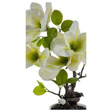 MAGNOLIA C/POTE 16X24X38CM - 449-3710020