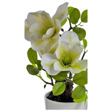 MAGNÓLIA COM PANELA - 449-3710021