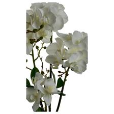 ORQUÍDEA COM C/ 14X28X42CM - 449-3710033