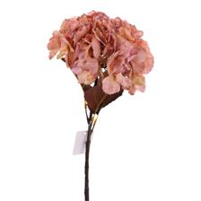 HYDRANGEA - 449-3710058