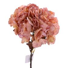 HYDRANGEA - 449-3710058