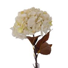 HORTENSIA - 449-3710059