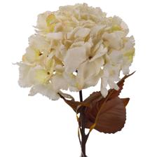 HORTENSIA - 449-3710059