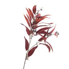 FOLHA DE EUCALIPTO X103CM - 449-3710134
