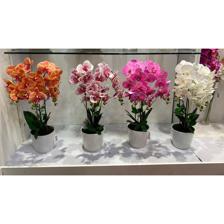 PLANTA C/VASO 17X17X60CM - 449-376969