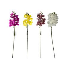 ORQUIDEA 4 SURT 70CM - 449-376998