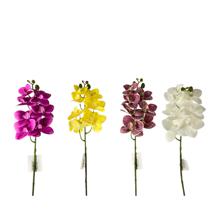 ORQUIDEA 4 SURT 70CM - 449-376998