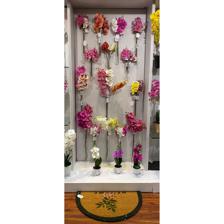 ORQUIDEA 4 SURT 30CM - 449-377005