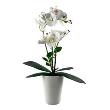 PLANTA C/POTE 28X16X54CM - 449-378464