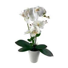 PLANTA C/POTE 28X16X54CM - 449-378464