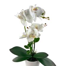 PLANTA C/POTE 28X16X54CM - 449-378464