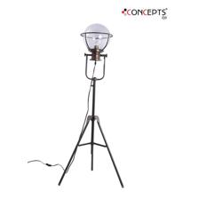 IRON / GLASS FLOOR LAMP(110V , - 449-491086/1