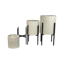 5 KG DE VASOS DE FLORES 3 UNIDADES 43ML 31X - 449-7710005