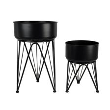 JG POTES 2PZ 31X31X50CM - 449-8410154