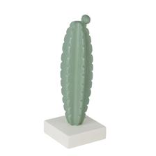 CACTUS DCOR - 454-4500114