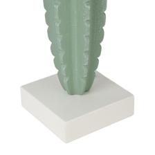 CACTUS DCOR - 454-4500114