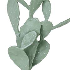 CACTUS DCOR - 454-4500116