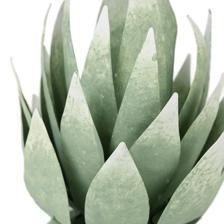 PLANT DCOR - 454-4500117