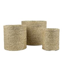 PLANTERS - 454-5400030