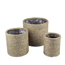 PLANTERS - 454-5400030