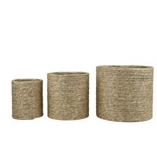 PLANTERS - 454-5400030