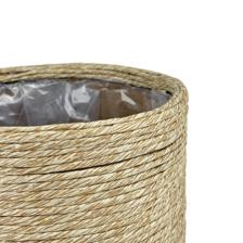 PLANTERS - 454-5400030