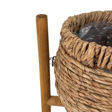 PLANTERS - 454-5400034