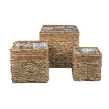 PLANTERS - 454-5400039