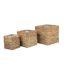 PLANTERS - 454-5400039
