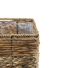 PLANTERS - 454-5400039