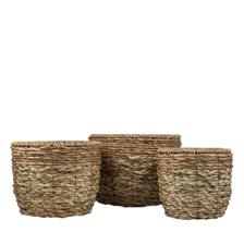 PLANTERS - 454-5400040