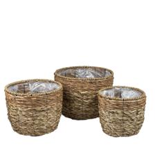 PLANTERS - 454-5400040