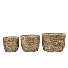 PLANTERS - 454-5400040
