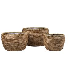 PLANTERS - 454-5400043
