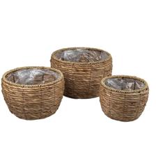 PLANTERS - 454-5400043