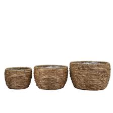 PLANTERS - 454-5400043