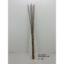 branch - 454-6900011