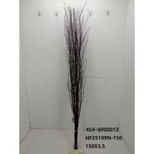 branch - 454-6900013