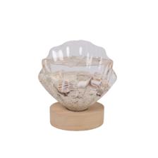 ESFERA DE AGUA15.5CM 13. - 455-32682