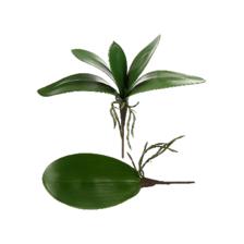 EVA orchid leaves - 456-471908